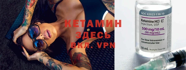 гидра Новодвинск