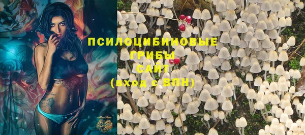 соль ск Абдулино