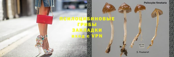 ПСИЛОЦИБИНОВЫЕ ГРИБЫ Абинск