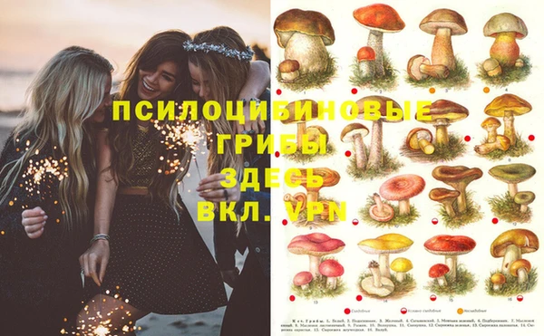 MDMA Premium VHQ Абаза