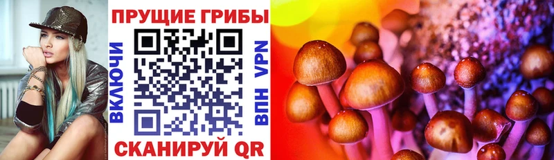 Псилоцибиновые грибы прущие грибы Хилок
