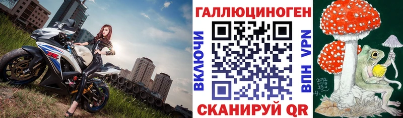 Псилоцибиновые грибы Psilocybe Хилок